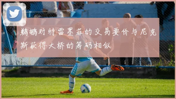 鹈鹕对特雷墨菲的交易要价与尼克斯获得大桥的筹码相似