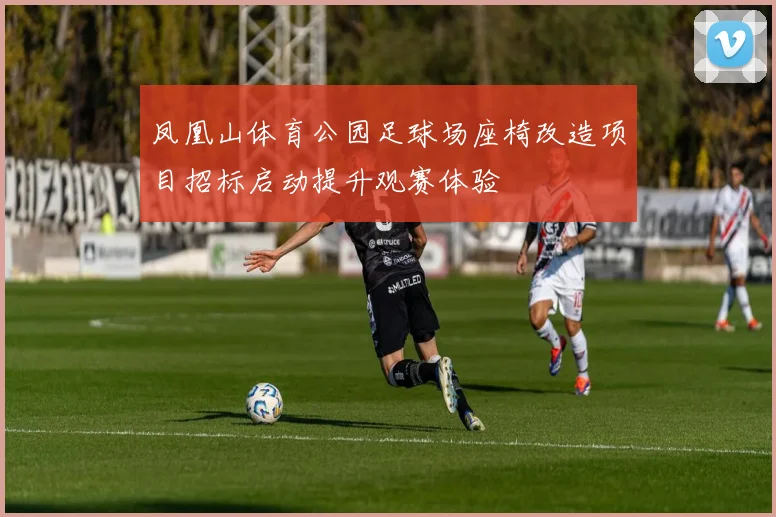 凤凰山体育公园足球场座椅改造项目招标启动提升观赛体验